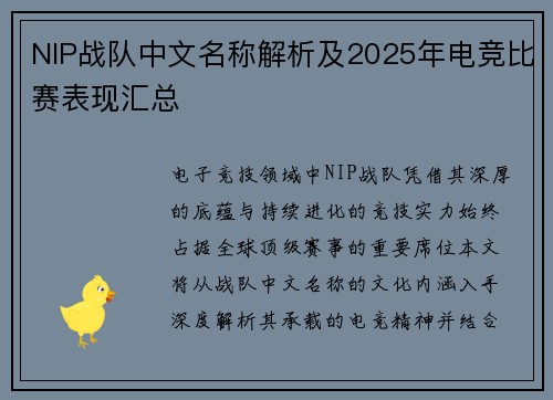 NIP战队中文名称解析及2025年电竞比赛表现汇总